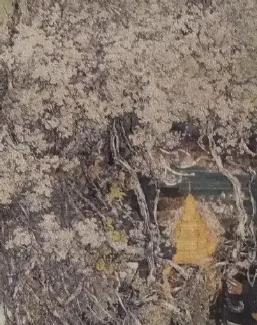 周永辉·怒放的嘎西纳