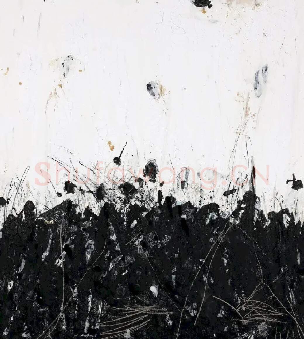 黄君辉·黑白之翼