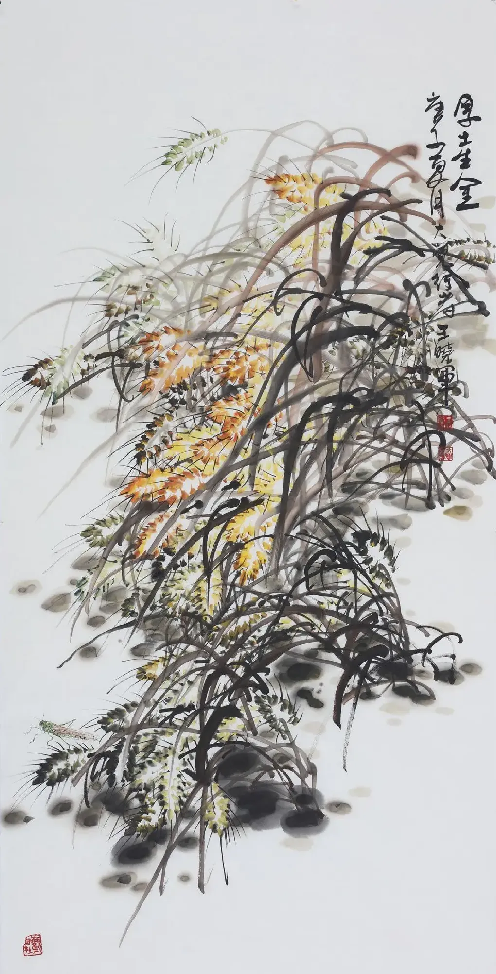 王晓军·作品