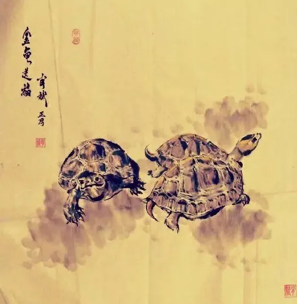 肖斌·龟