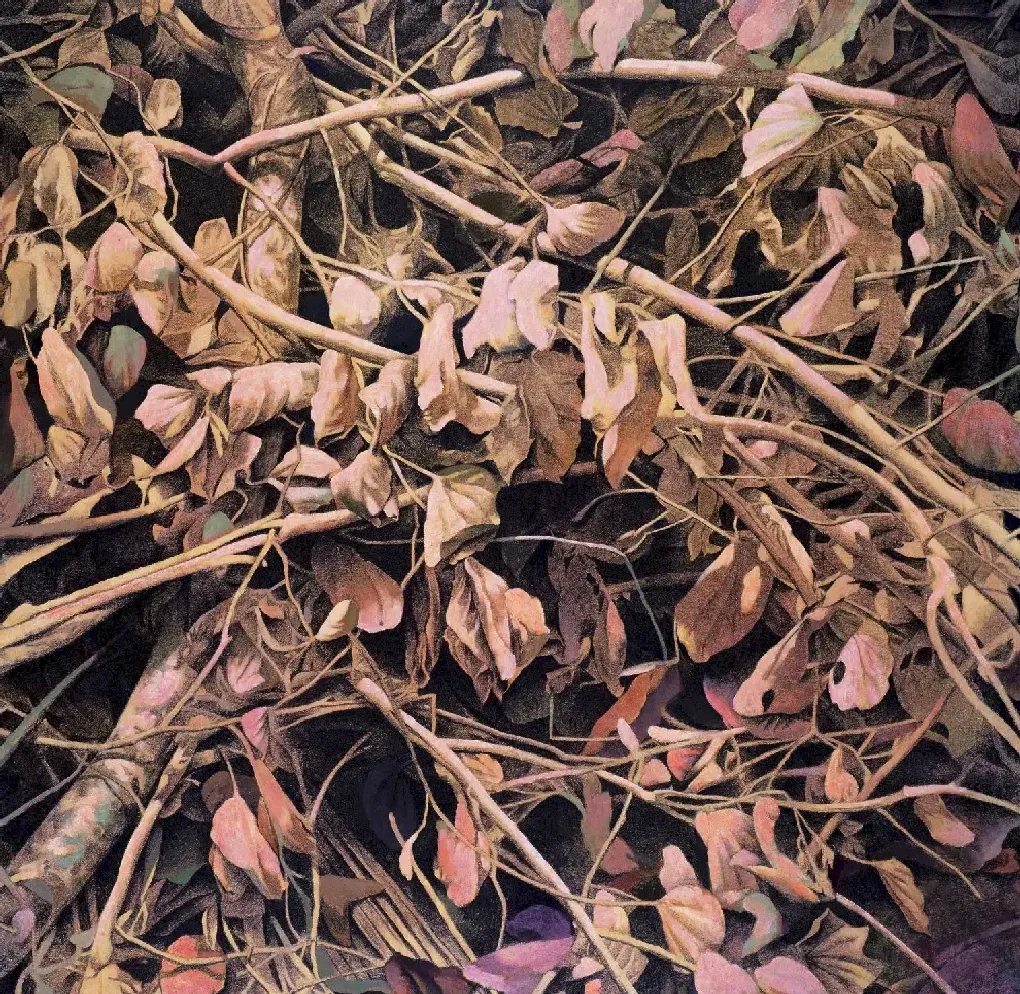 肖伟·作品