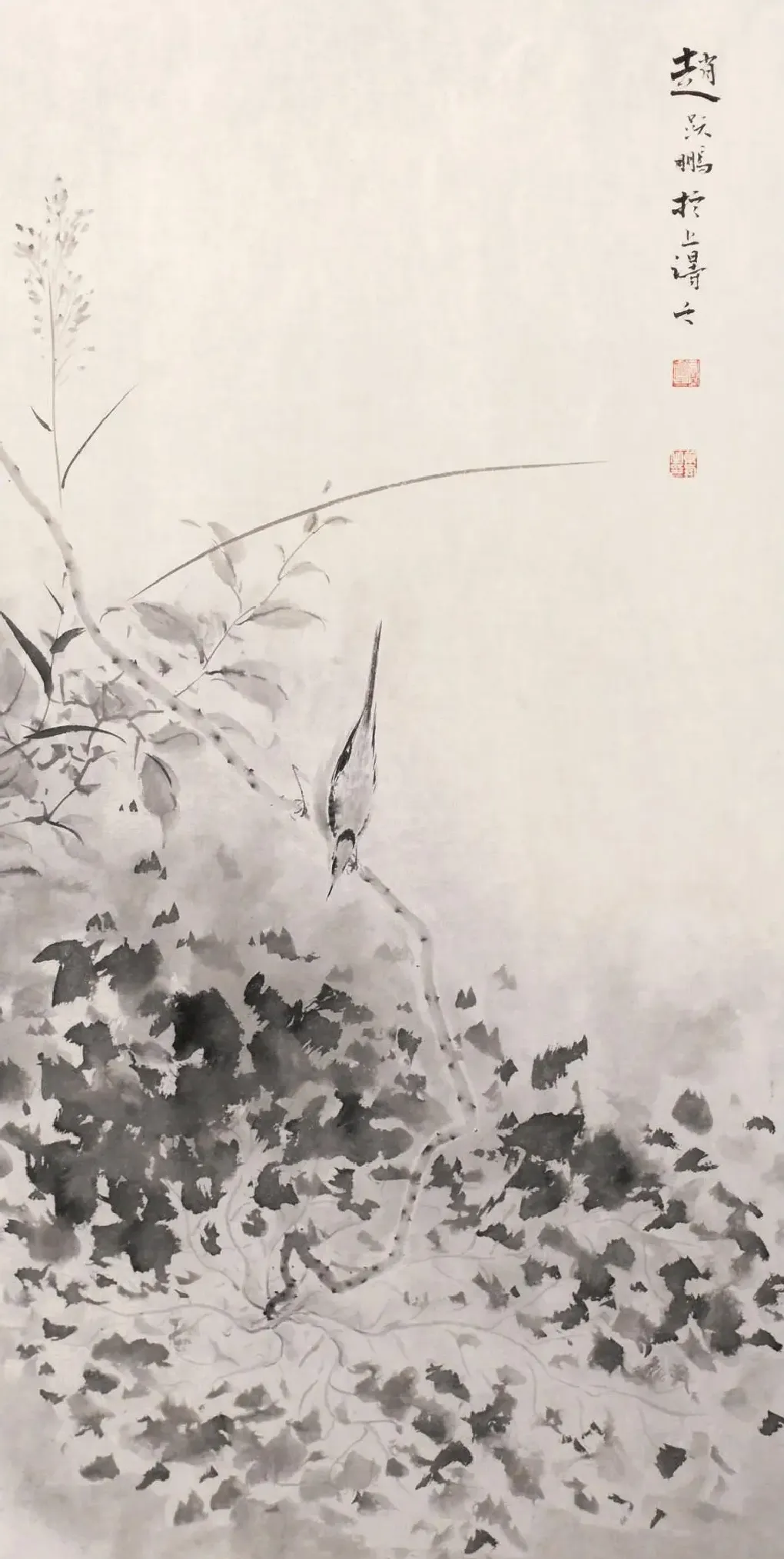 赵跃鹏·花鸟