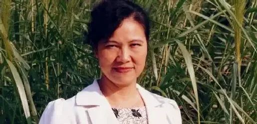 苏华