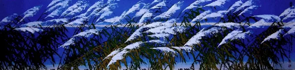 臧伯良·赛里木湖