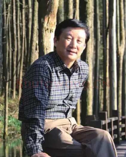 丁力