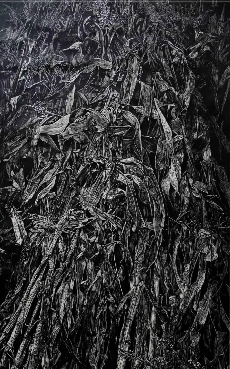 梁华·玉米秆