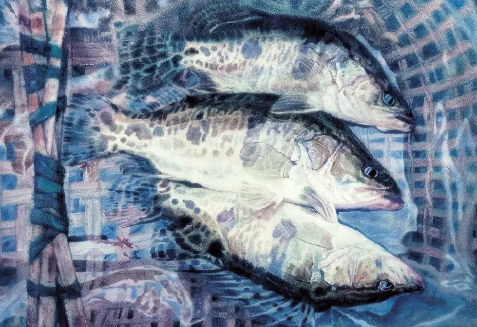 白统绪·鳜鱼