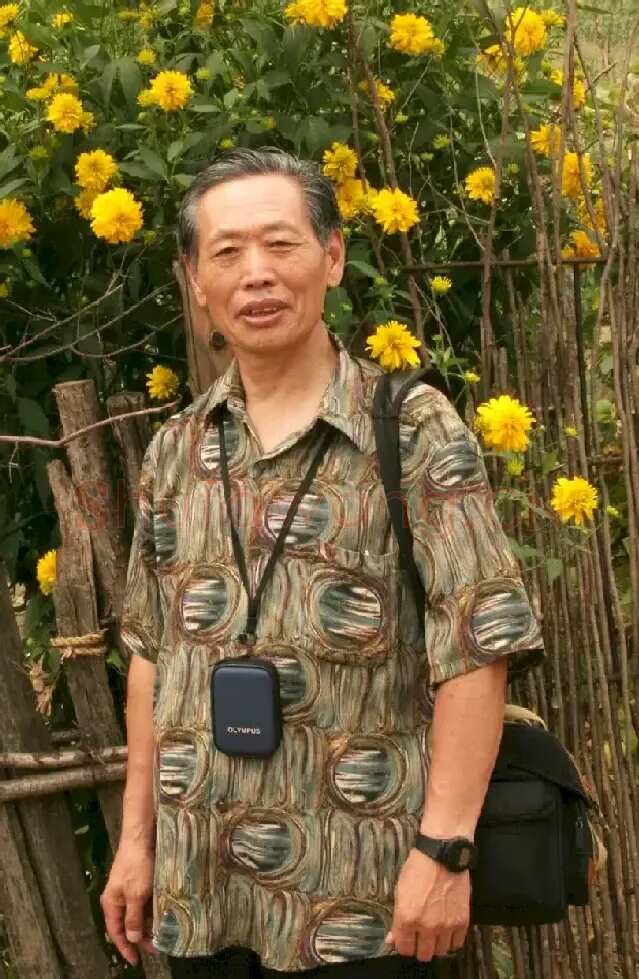 薛嘉惠