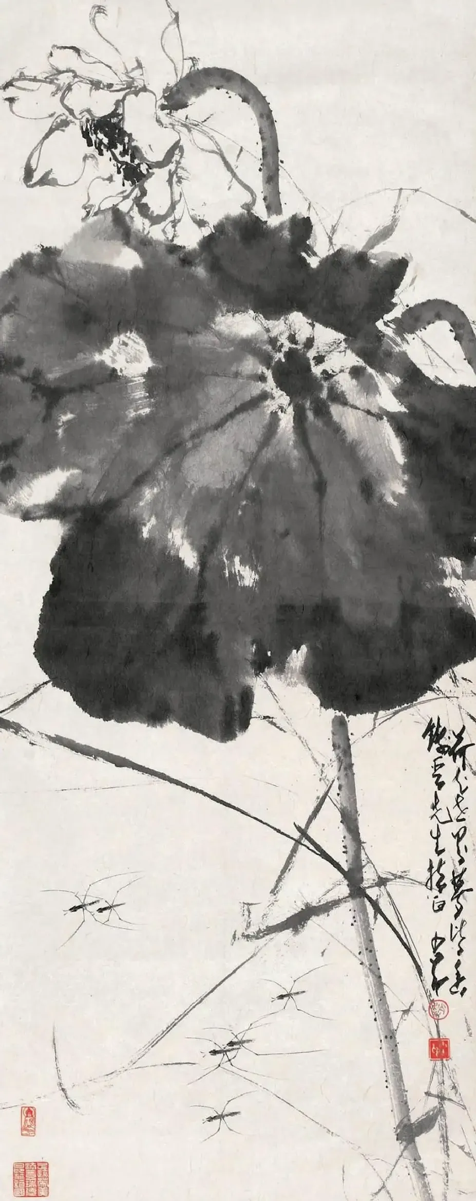 赵少昂·墨荷