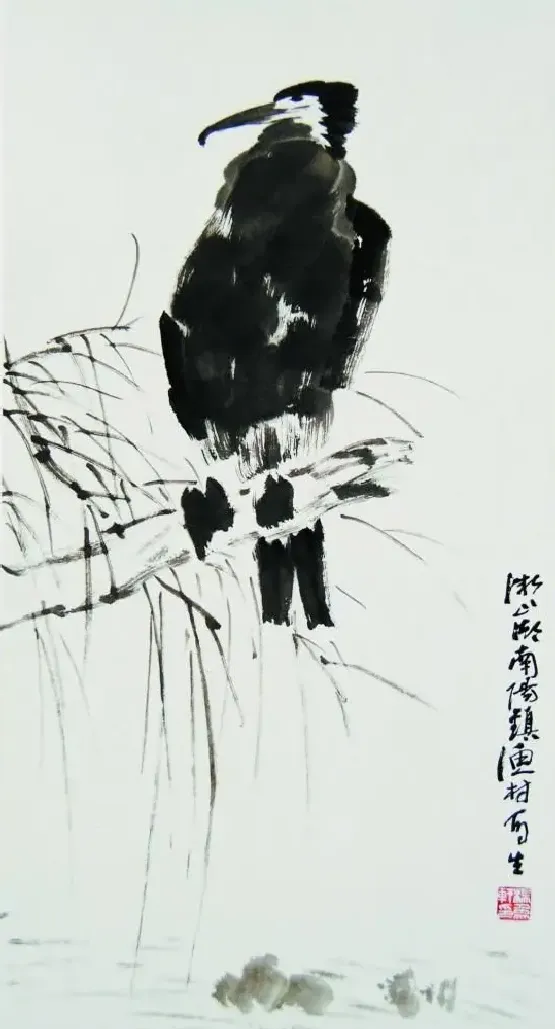 杨象宪·鱼鹰