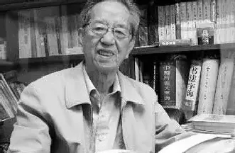 杨辛