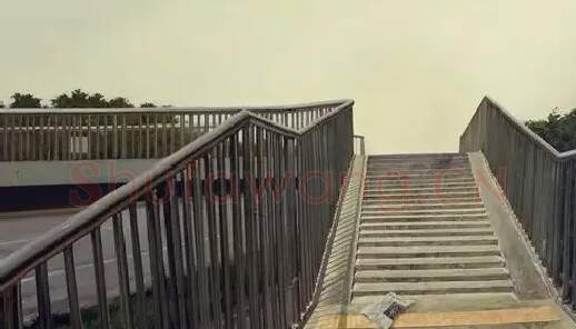 张学·《此岸彼岸》