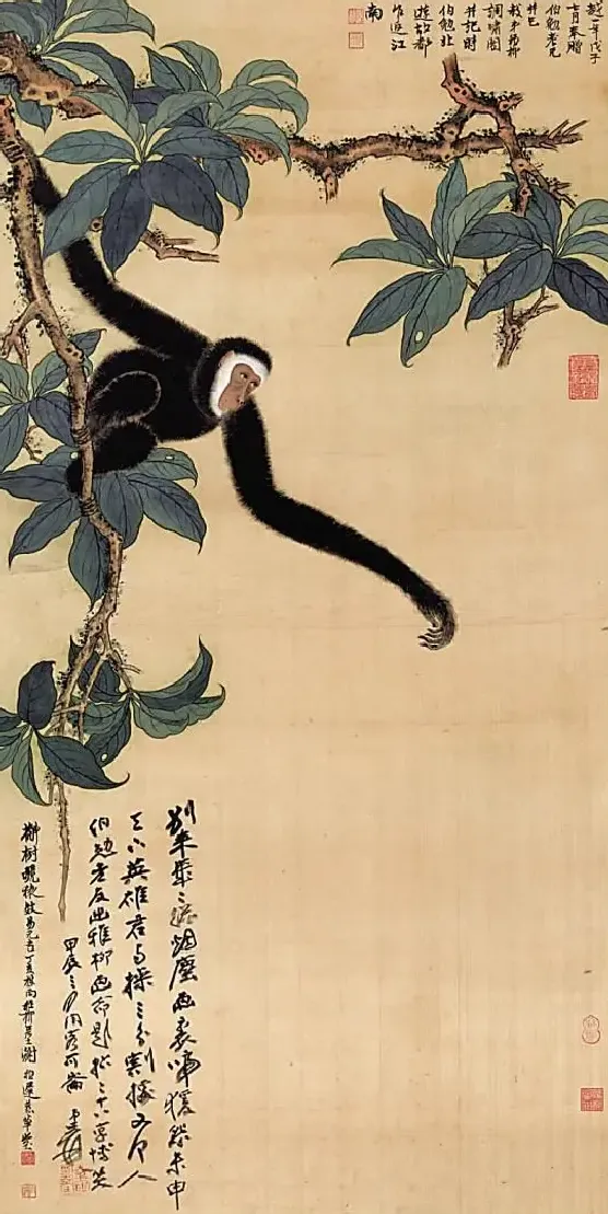 谢稚柳·槲树唬猿