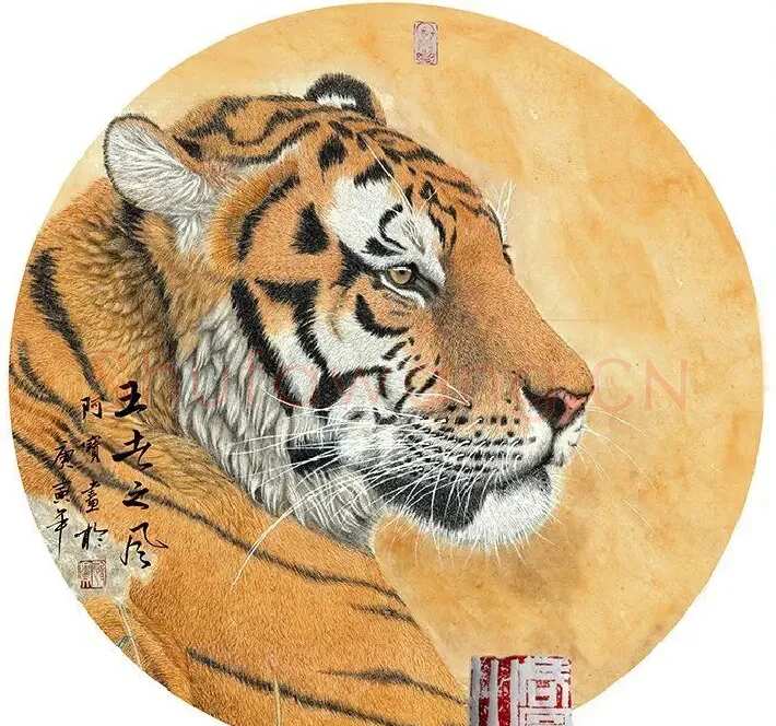 刘阿宝·王者之风