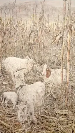 刘岩·田间觅语