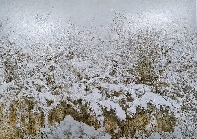 李苏珍·《圣地瑞雪》