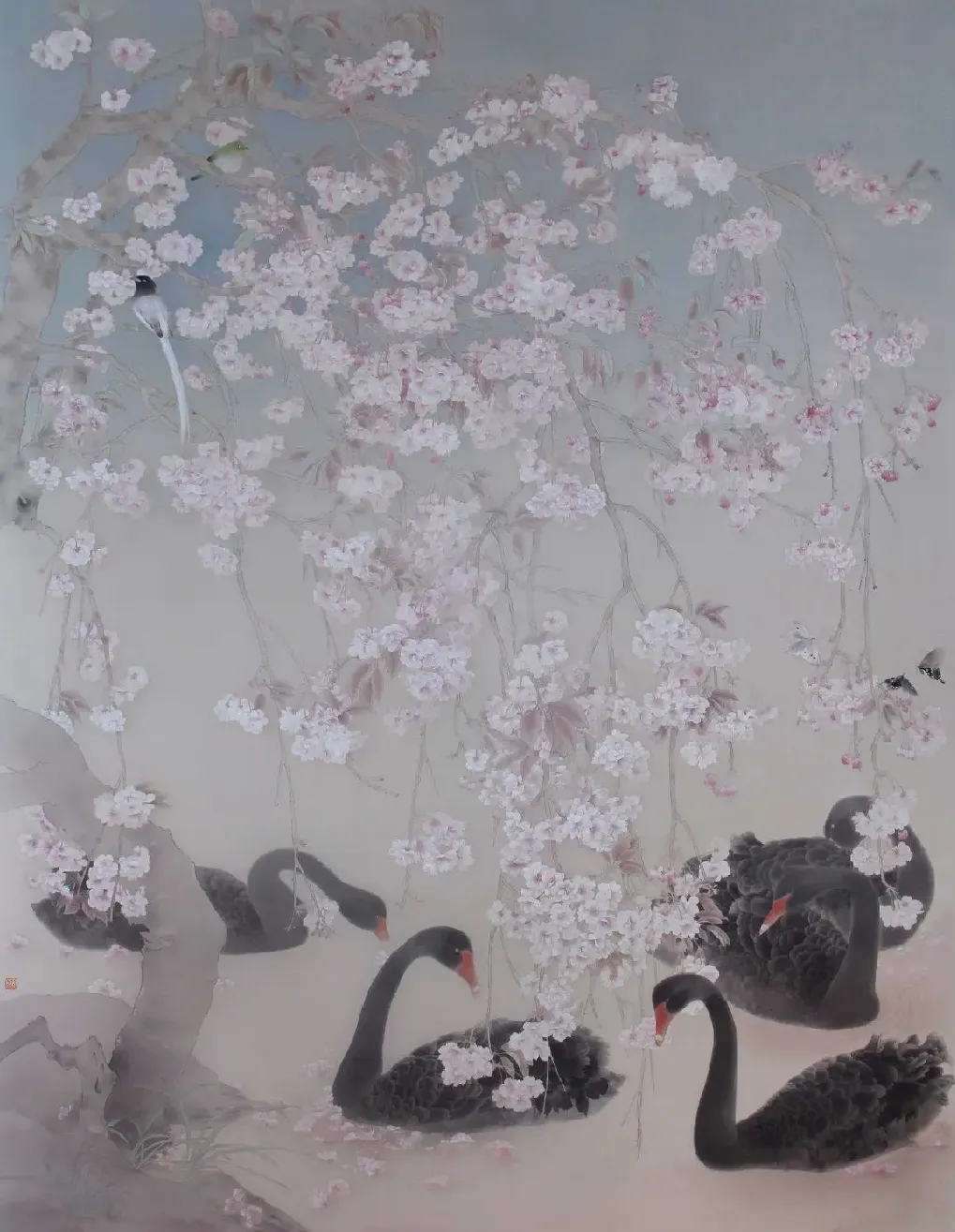 杨娜·一池春樱落梦中