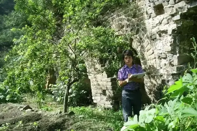李树林·自然