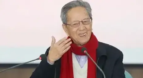 杨辛·杨辛