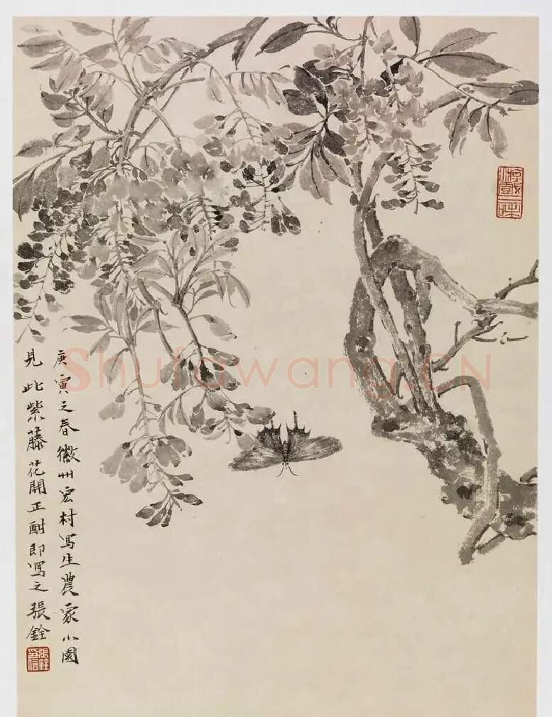 张铨·作品