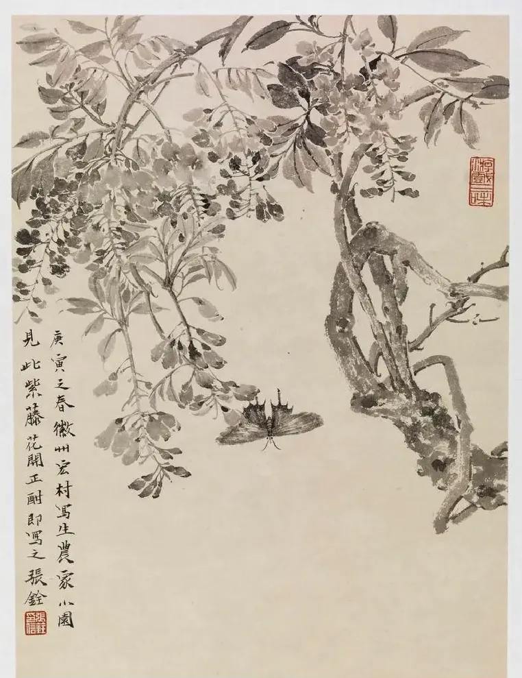 张铨·作品