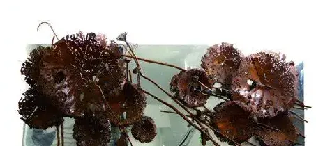 吴泽军·《秋色赋》