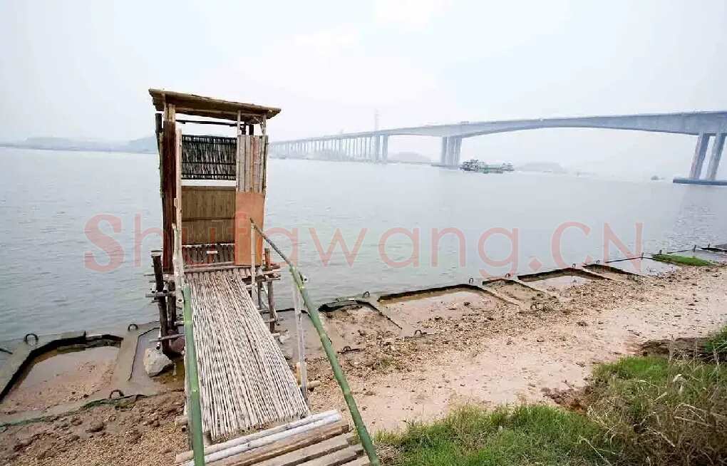 冯峰·基于POE的南亭村公共空间可持续设计