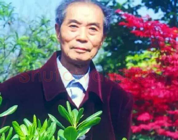 金家骐