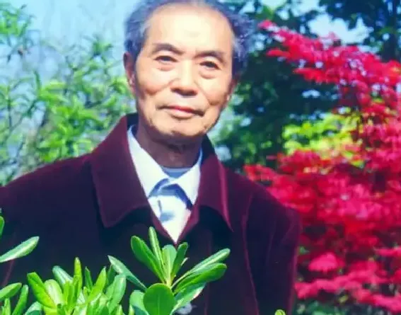 金家骐