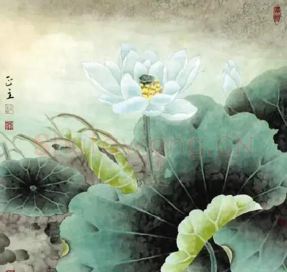 顾正主·晨露