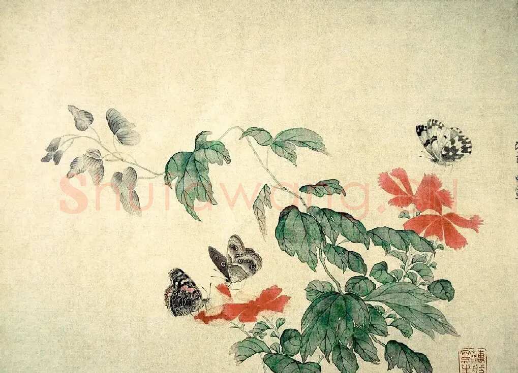 范金镛·《蝴蝶花卉》