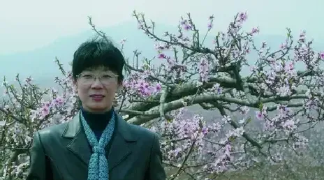 张爱惠