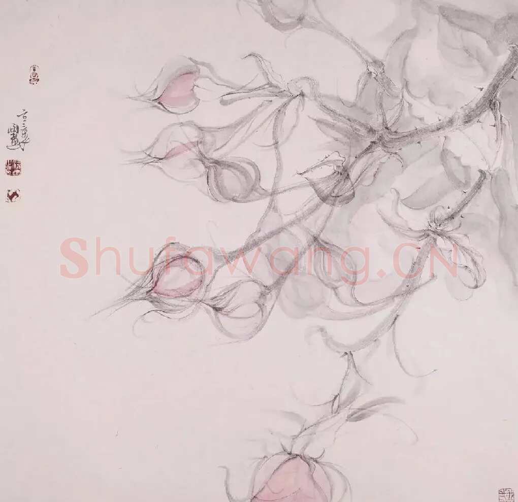 梁雨·花卉系列