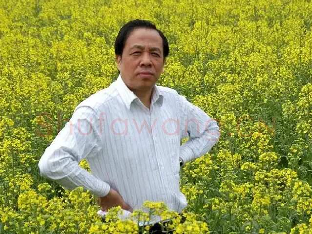 常树森