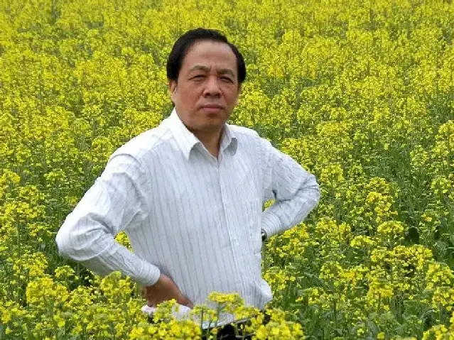 常树森