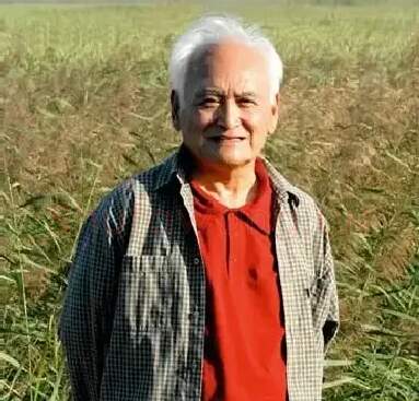 晁楣