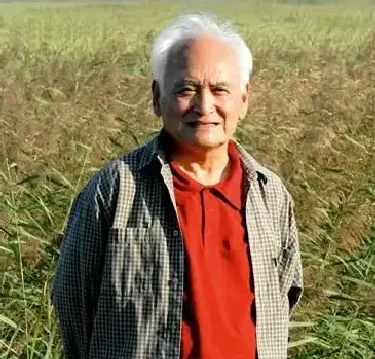晁楣