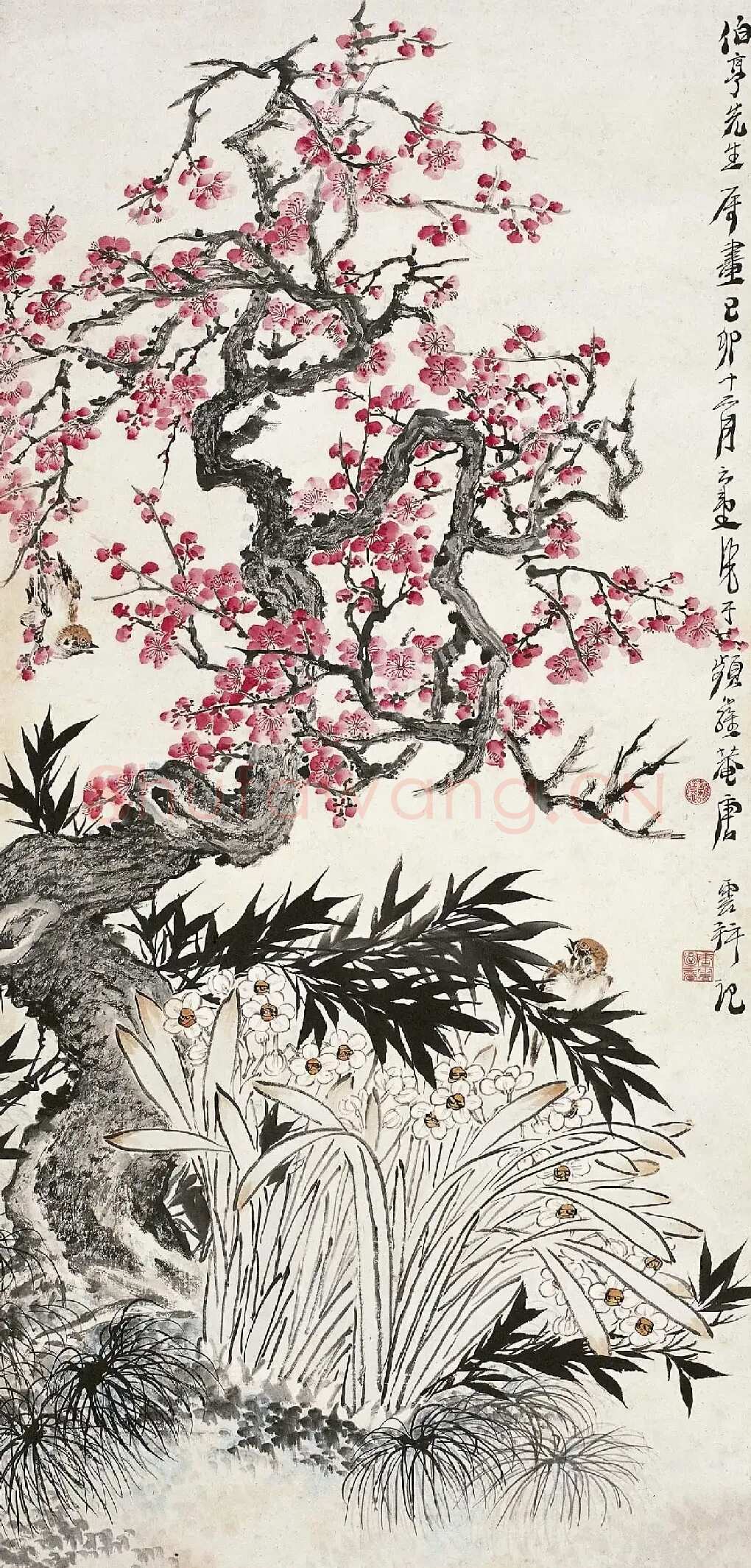 唐云·红梅水仙图