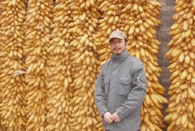 陈书文
