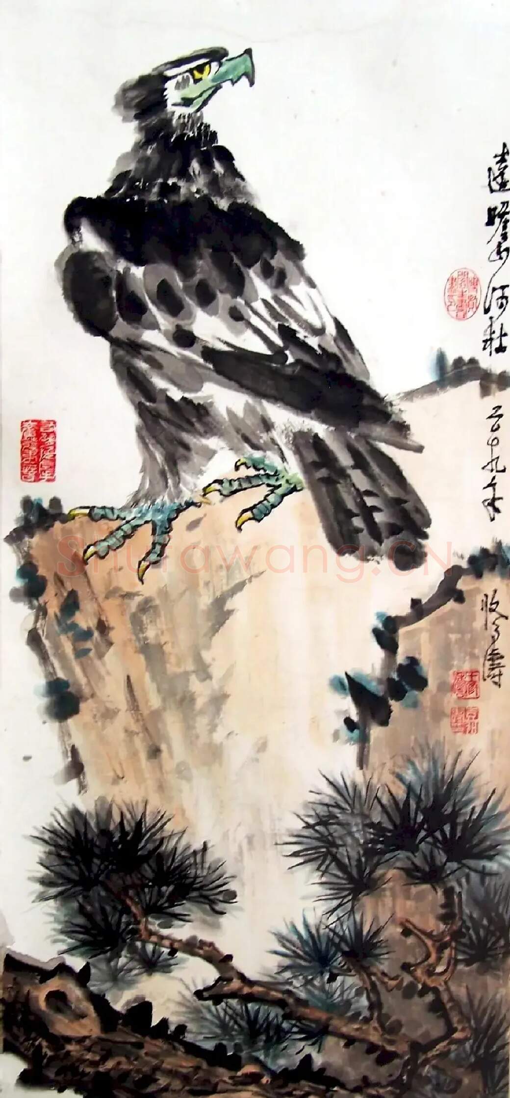 王修涛·鹰