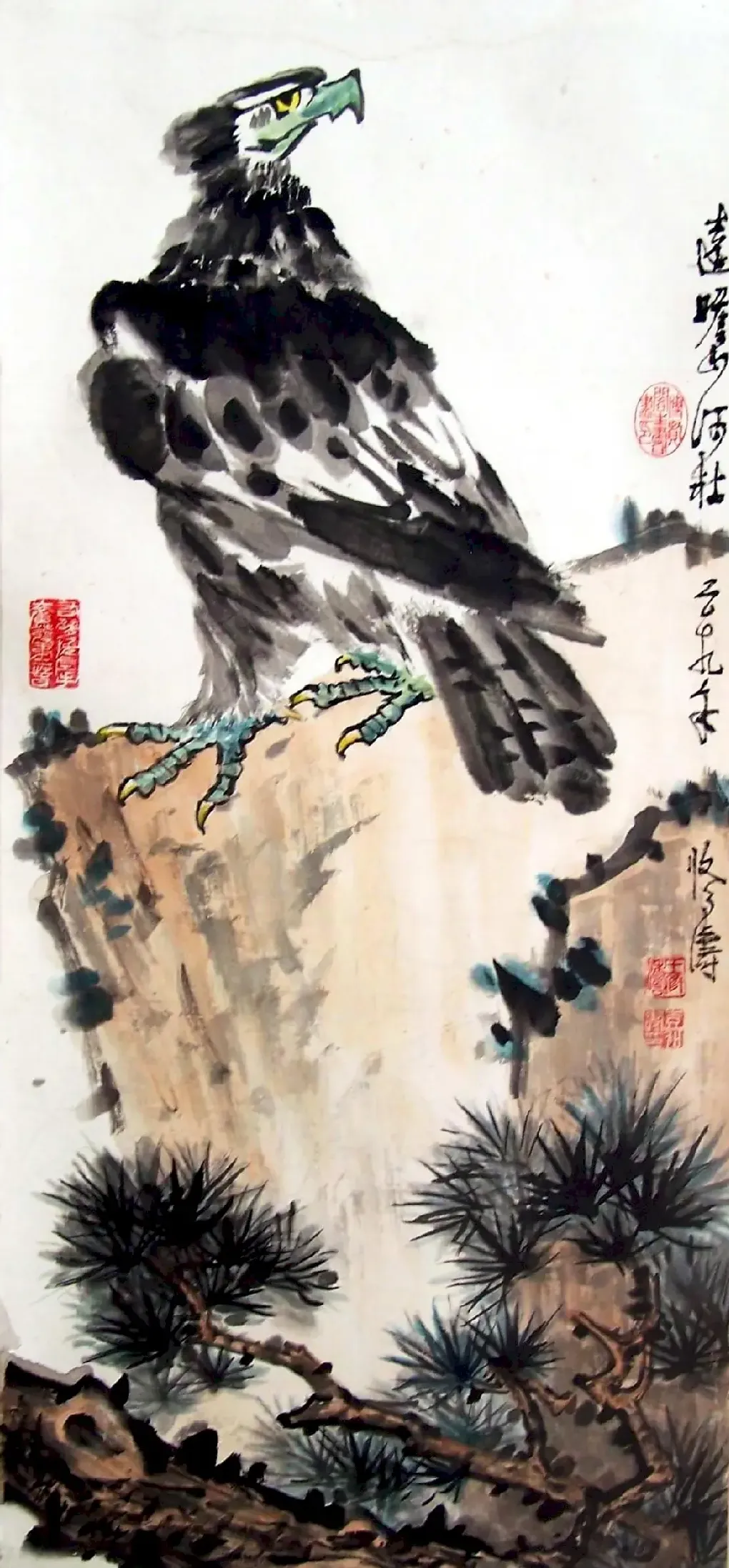 王修涛·鹰