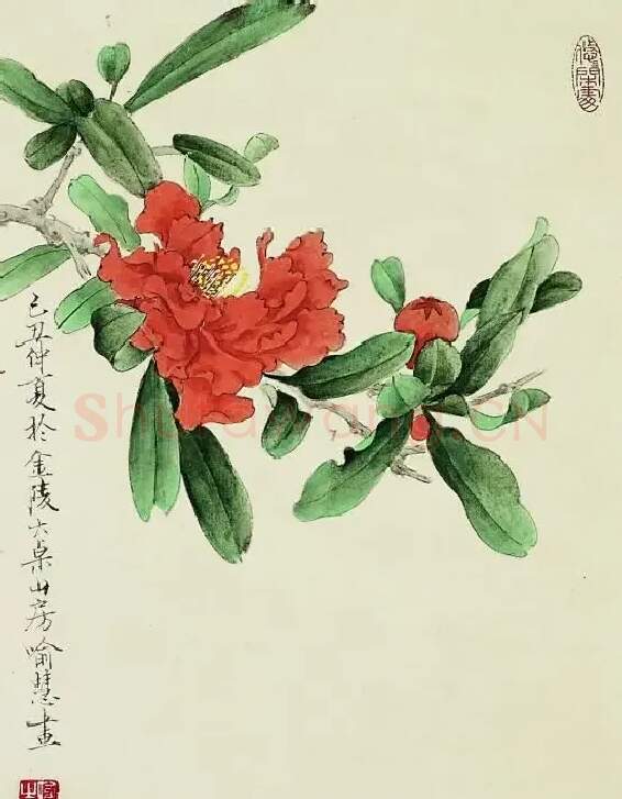 喻慧·本草纲目系列之二