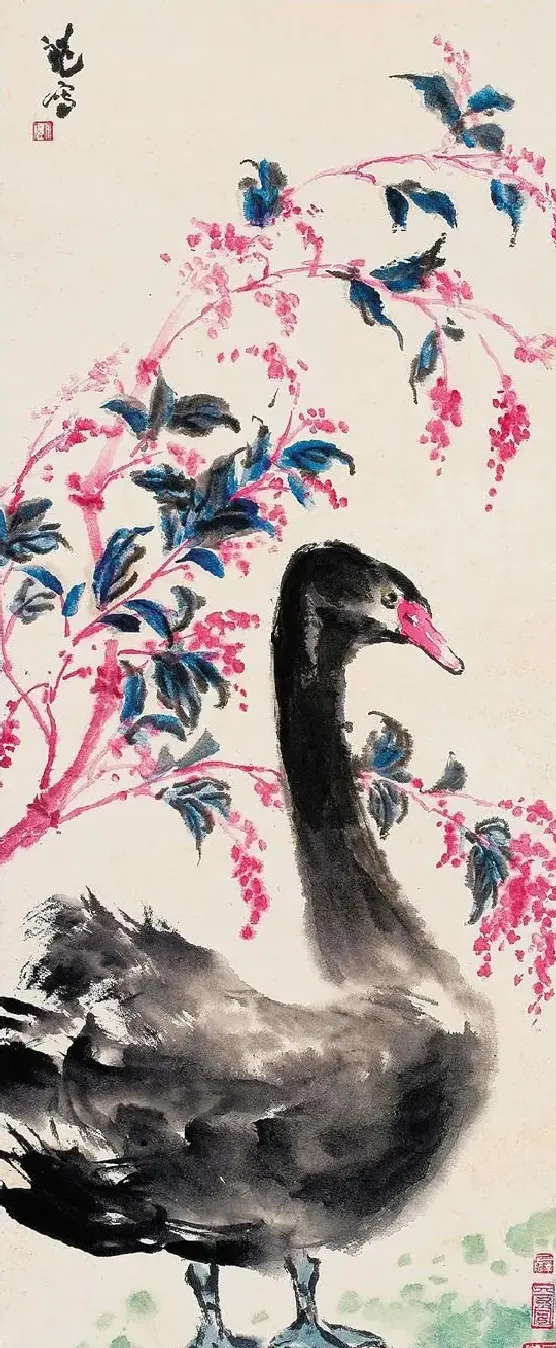 钱大礼·黑天鹅