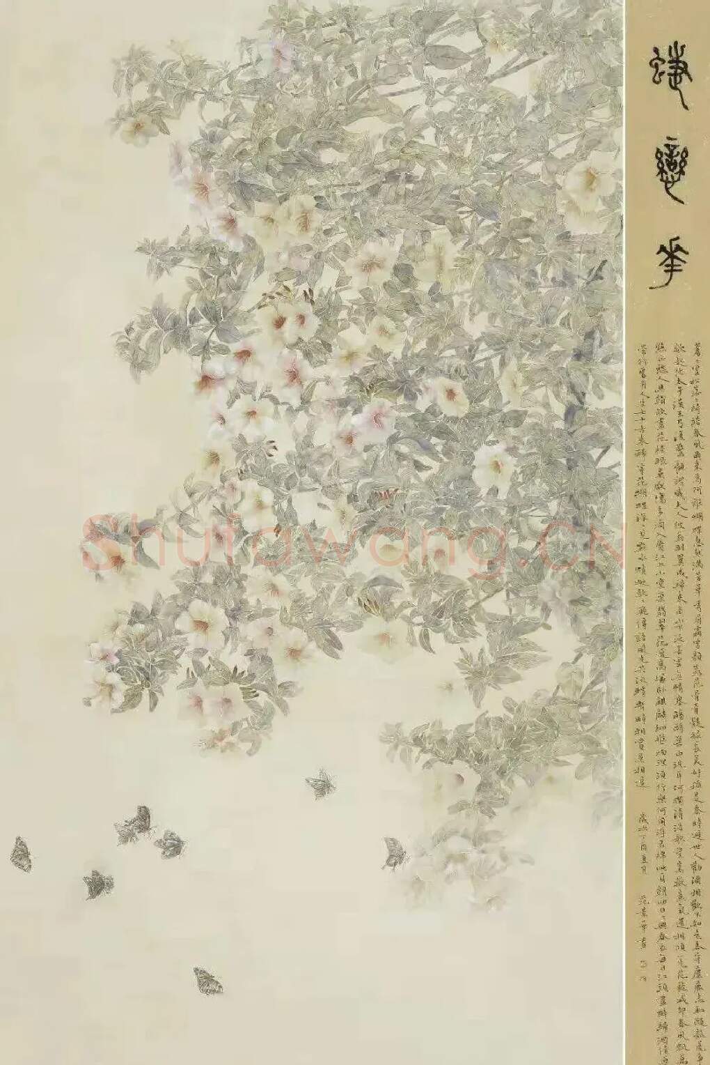 范景华·蝶恋花