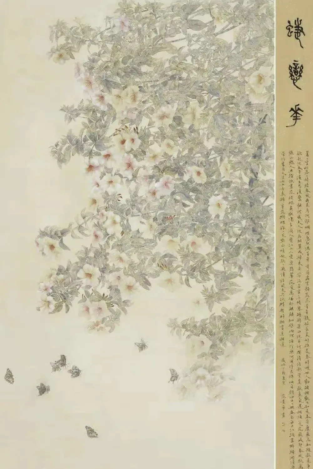 范景华·蝶恋花