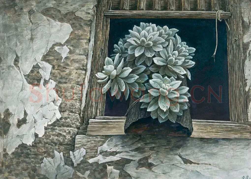 许世虎·窗台上的宝石花