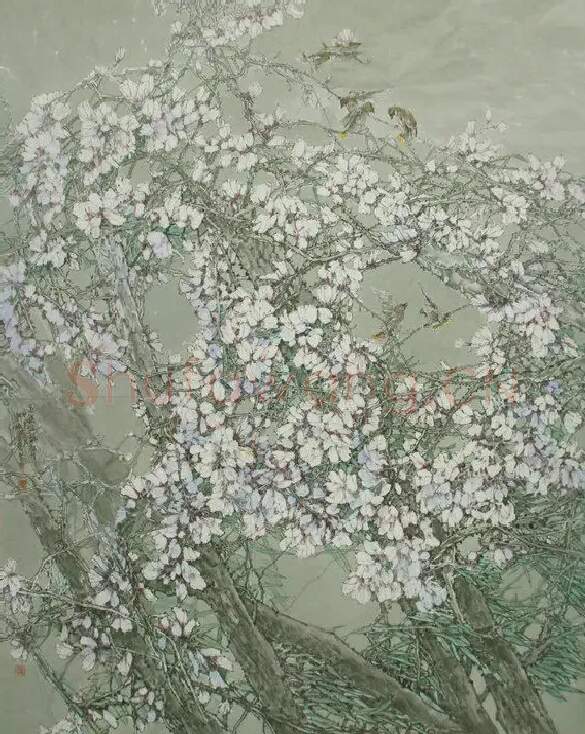 胡楠·玉韵伴和声