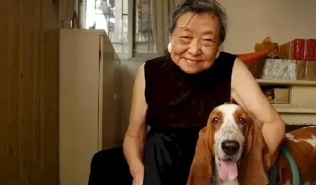 张彤云·张彤云