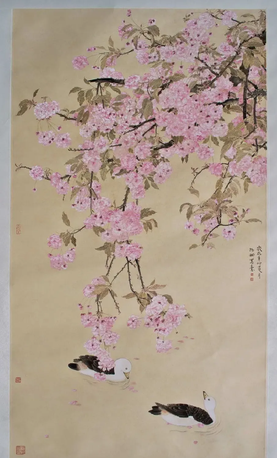 杨娜·花恋水