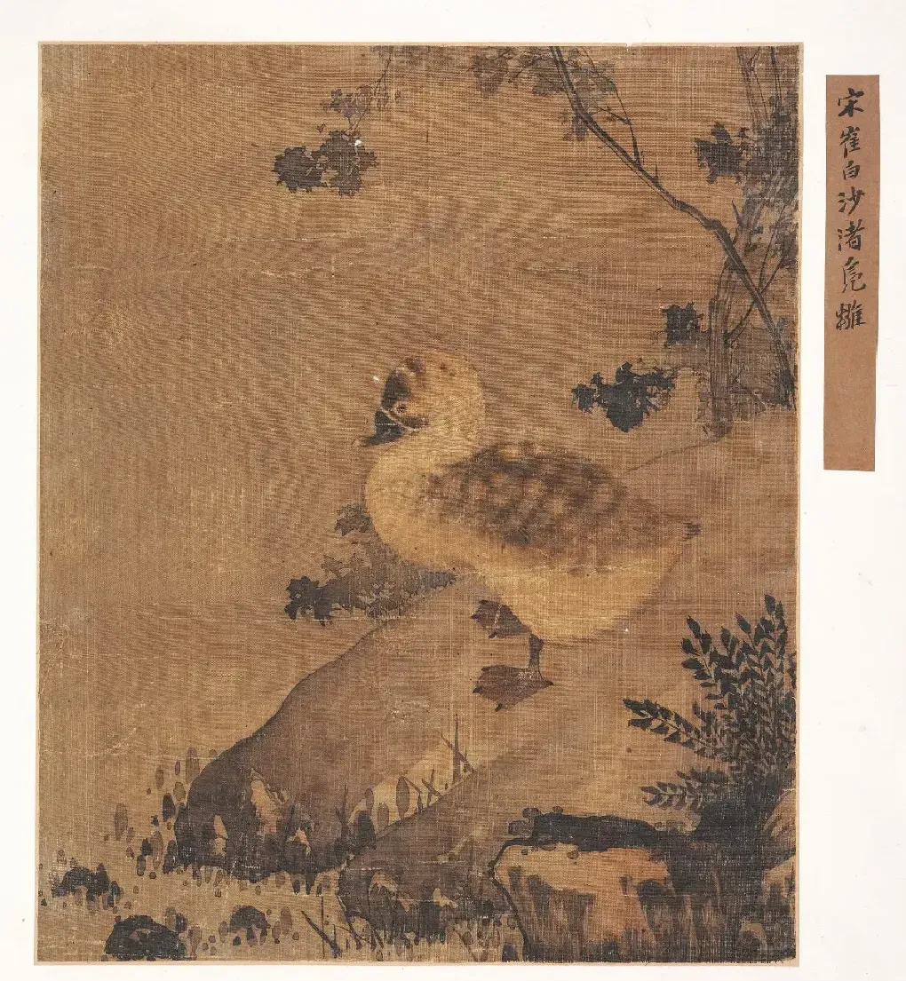 崔白·沙渚凫雏图